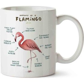 Flamingo Anatomisi Flamingo Anatomy Baskılı Kupa
