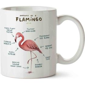 Flamingo Anatomisi Flamingo Anatomy Baskılı Kupa