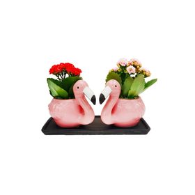 FLAMINGO ÇOCUK DOĞA ÖYKÜLERI SERISI 1 - MEHMET FIRAT PÜRSELIM