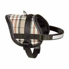 Flamingo İngiliz 31-40 cm Eeny Mini Köpek Göğüs Tasması