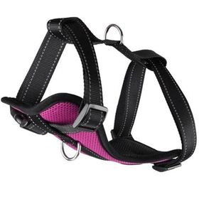 Flamingo Mavi 40-55 cm Fuşya Milou Köpek Göğüs Tasması