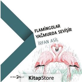 Flamingolar Yağmurda Sevişir - İrfan Asil