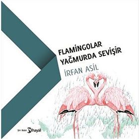Flamingolar Yağmurda Sevişir - İrfan Asil