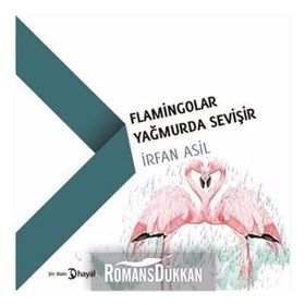 Flamingolar Yağmurda Sevişir - İrfan Asil