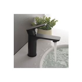 Fleko 202 Siyah Lavabo Musluk