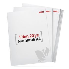 Flex 1-20 80 gr A4 Kağıt