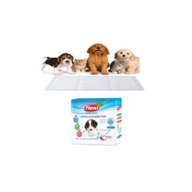 Flexi Kaydırmaz Bantlı 55x60 cm 10'lu Köpek Alıştırma Pedi