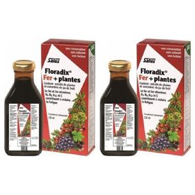 Floradix 2x250 ml Sıvı