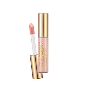 Flormar No: 04 Stay Perfect Kapatıcı