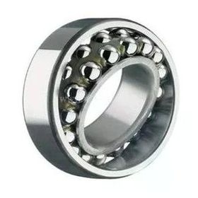 FLT 2211 Çift Sıra Oynak 55X100X25 mm Rulman