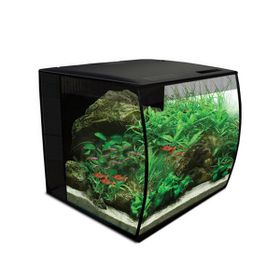 Fluval 34 L Siyah Flex Akvaryum