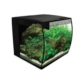 Fluval 34 L Siyah Flex Akvaryum