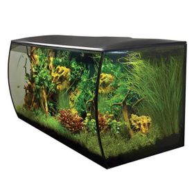 Fluval Flex 123 lt Siyah Akvaryum