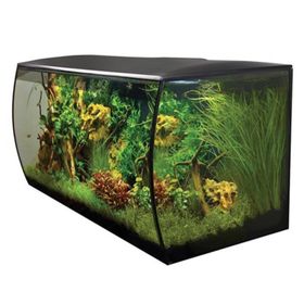 Fluval Flex 123 lt Siyah Akvaryum