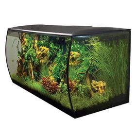 Fluval Flex 123 lt Siyah Akvaryum