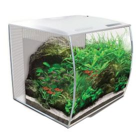 Fluval Flex 57 lt Beyaz Akvaryum
