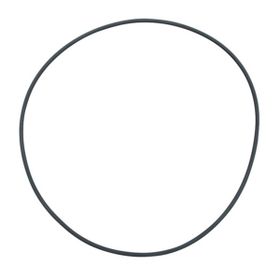 Fluval FX5 Filtre İçin Deckel O-Ring Filtre