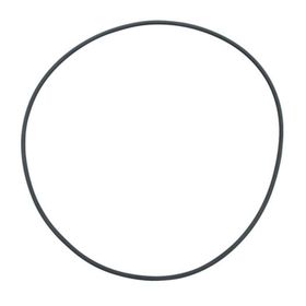 Fluval FX5 Filtre İçin Deckel O-Ring Filtre