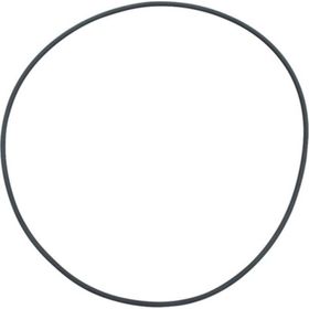 Fluval FX5 Filtre İçin Deckel O-Ring Filtre