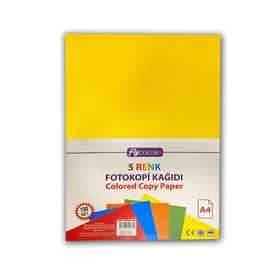 Fly Color 100 Adet 5 Renk A4 Renkli Fotokopi Kağıdı