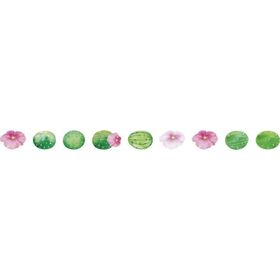 Folia Kaktüs 200 Adet Washi Stickers