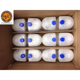 Fomy 1000 ml 12 Adet Standart Köpük Sabun