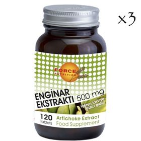 Force Nutrition Artichoke 500 mg 120 Tablet