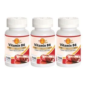 Force Nutrition Vitamin B6 3x100 Tablet