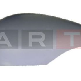 Ford Fiesta Astarlı Sağ 2008 Kapak