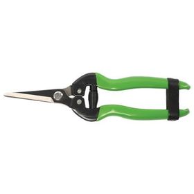 Formasa 24205 19 cm Karbon Bıçaklı Meyve Toplama Makası