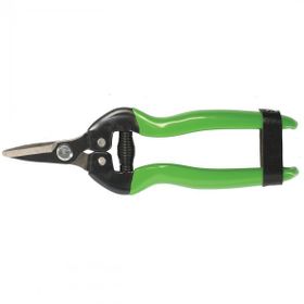 Formasa 24205 19 cm Karbon Bıçaklı Meyve Toplama Makası