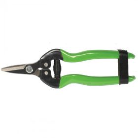 Formasa 24205 19 cm Karbon Bıçaklı Meyve Toplama Makası