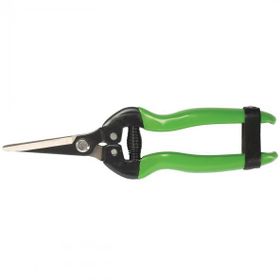 Formasa 24205 19 cm Karbon Bıçaklı Meyve Toplama Makası