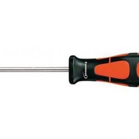 Format 58830030 T 8x 60 mm Torx Tornavida