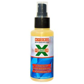 FormulaX Hydro 250 ml Boya Koruyucu & Parlatıcı Hızlı Sprey Cila