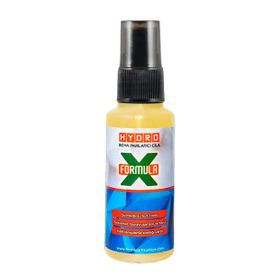 FormulaX Hydro 250 ml Boya Koruyucu & Parlatıcı Hızlı Sprey Cila