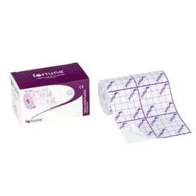 Fortune Fix 5 mt 2.5 cm Flaster