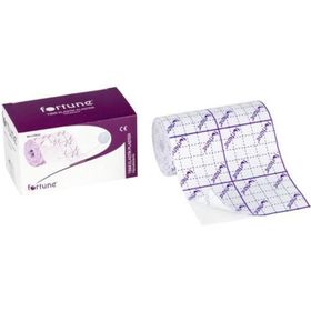 Fortune Fix 5 mt 2.5 cm Flaster