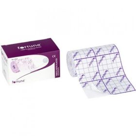 Fortune Fix 5 mt 2.5 cm Flaster