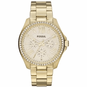 Fossil AM4482 Bayan Kol Saati