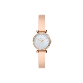 Fossil BQ3894 Kadın Kol Saati
