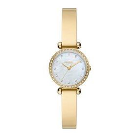 Fossil FBQ3895 Kadın Kol Saati