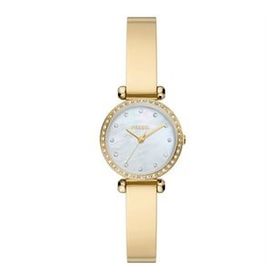 Fossil FBQ3895 Kadın Kol Saati