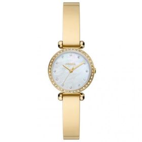 Fossil FBQ3895 Kadın Kol Saati