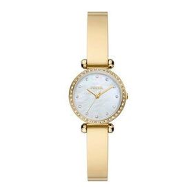 Fossil FBQ3895 Kadın Kol Saati