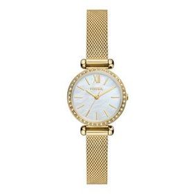 Fossil FBQ3898 Kadın Kol Saati