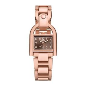 Fossil FES5328 Kadın Kol Saati