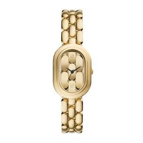 Fossil FES5380 Kadın Kol Saati