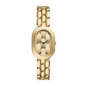 Fossil FES5380 Kadın Kol Saati