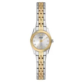 Fossil FES5473 Kadın Kol Saati